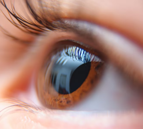 closeup-person-s-beautiful-brown-eye_181624-58388 closeup-person-s-beautiful-brown-eye_181624-58388